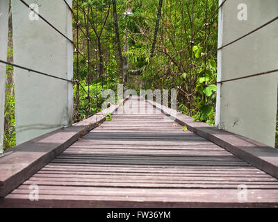 Corde de suspension bridge in forest Banque D'Images