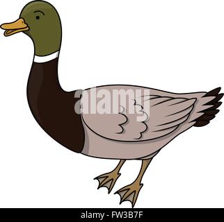 Duck illustration Illustration de Vecteur