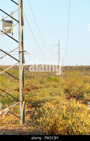 Les grandes lignes à haute tension qui traverse la brousse au Botswana, l'Afrique Banque D'Images