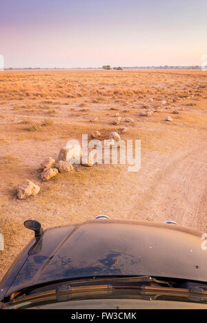 Lever du soleil sur le pittoresque paysage de plaines africaines au Botswana sur une auto route safari Banque D'Images