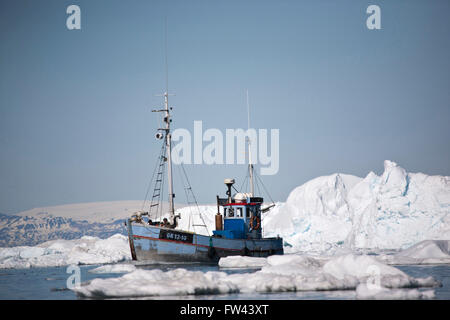 Un bateau de pêche entre les icebergs au Groenland Banque D'Images