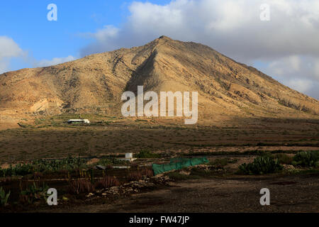 La montagne sacrée de Montana de Tindaya, Fuerteventura, Îles Canaries, Espagne Banque D'Images