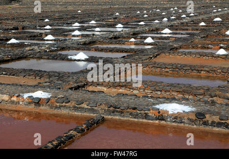 L'évaporation de l'eau de mer dans les marais salants, Musée de la Sal, musée du sel, Las Salinas del Carmen, Fuerteventura, Espagne Banque D'Images