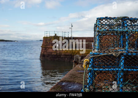 Des casiers à homard dans le port de North Berwick, East Lothian, en Ecosse. Banque D'Images