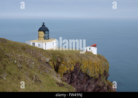 Le phare et de brume sur les falaises de St Abbs, en Écosse. Banque D'Images