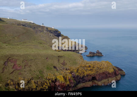 Le phare et de brume sur les falaises de St Abbs, en Écosse. Banque D'Images