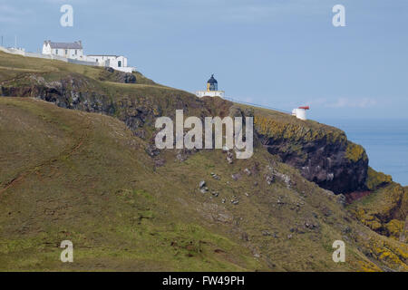 Le phare et de brume sur les falaises de St Abbs, en Écosse. Banque D'Images