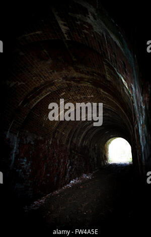 Tunnel en briques anciennes, très sombre mais avec la lumière à la fin à travers l'arche. Banque D'Images