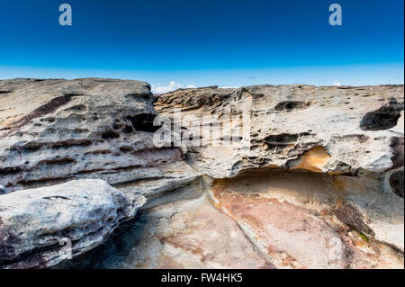 Formations rocheuses érodées par le vent et l'eau le long de la côte de bondi à Coogee falaise à pied dans les banlieues est de Sydney en Australie. Banque D'Images