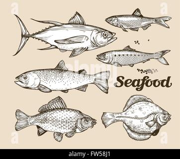 Les fruits de mer. Croquis dessinés à la main, vector illustration de poissons différents Illustration de Vecteur