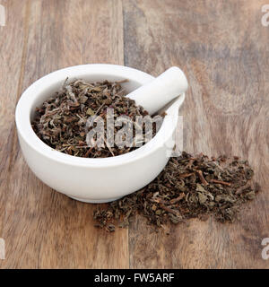 Tulsi holy basil herbe utilisée dans la médecine alternative naturelle dans un mortier avec un pilon sur fond de bois ancien. Banque D'Images