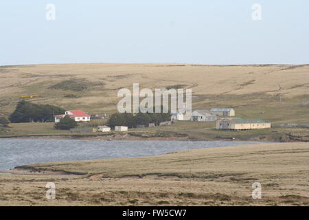 Bluff Cove, West Falkland Banque D'Images