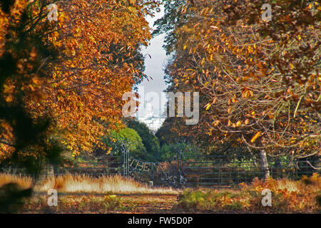 La vue de King Henry's mound à Richmond Park Londres Banque D'Images