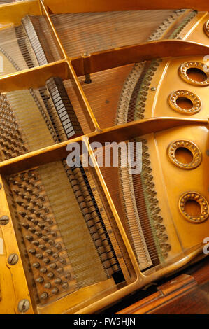 Carte son - mécanisme de piano, cordes, pont et les broches de réglage du modèle d'un piano Bechstein, 1900 Banque D'Images