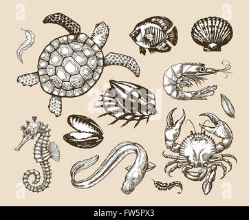 Jeu de croquis dessinés à la main, des fruits de mer, les animaux de la mer. Vector illustration Illustration de Vecteur