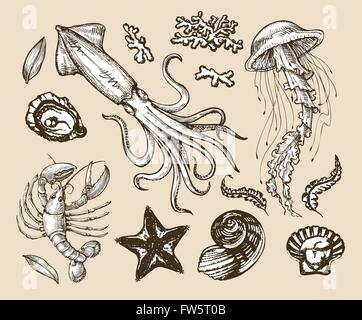 Jeu de croquis dessinés à la main, fruits de mer, les animaux de la mer. Vector illustration Illustration de Vecteur