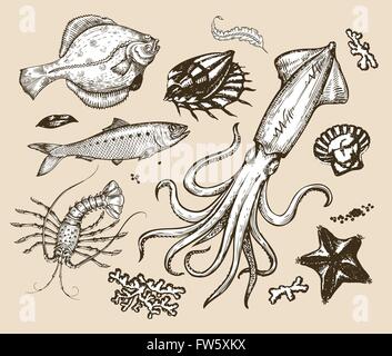 Jeu de croquis dessinés à la main, les fruits de mer,monde sous-marin. Vector illustration Illustration de Vecteur