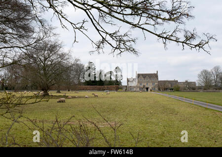 Agneaux et moutons dans un champ à poulton champs, Gloucestershire, Royaume-Uni Banque D'Images