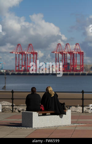 Profiter du soleil et vue sur la Mersey -grues portuaires de conteneurs au Seaforth Dock, Liverpool, Merseyside, Wallasey, UK Banque D'Images