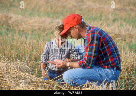 Père et fils dans un champ de céréales à grain à andains Banque D'Images