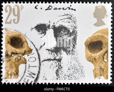 Royaume-uni - circa 1981 : timbre imprimé en Grande-Bretagne montrant Charles Darwin et crânes préhistoriques, vers 1981 Banque D'Images