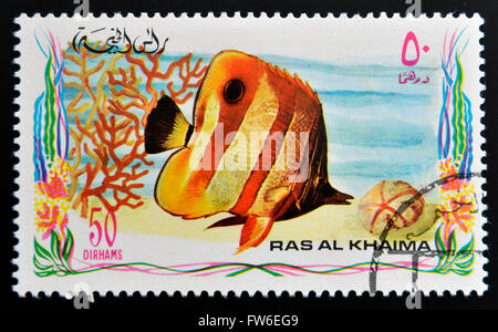 RAS AL-KHAIMAH - circa 2006 : timbre imprimé à Ras al-Khaimah montre un poisson, chelmon à bec médiocre (Chelmon Rostratus), vers Banque D'Images