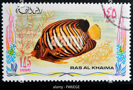RAS AL-KHAIMAH - circa 2006 : timbre imprimé à Ras al-Khaimah montre un Pygoplites diacanthus, poisson, poissons-anges, vers 2006 Royal Banque D'Images