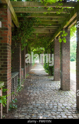 Köln, (Hindenburgpark Neustadt-Süd, Friedenspark), Glyzinienpergola Banque D'Images