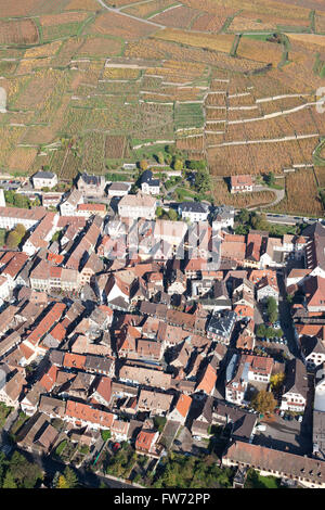 VUE AÉRIENNE.Ville touristique de Ribeauvillé et ses environs de vignobles affichant leurs couleurs automnales.Haut-Rhin, Alsace, Grand est, France. Banque D'Images