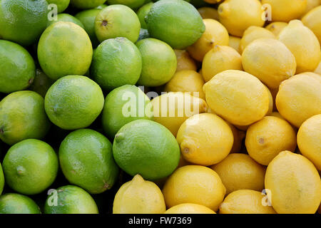 Un panier de produits frais, mûr et vert jaune citrons limes sont rassemblés sur une table à la vente de fruits Farmer's Market Banque D'Images