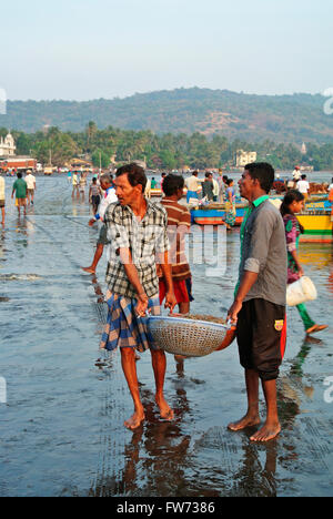 Crochet de pêche, harney village, konkan, Inde Banque D'Images