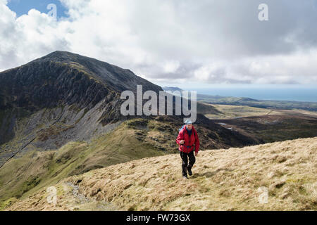 Mynydd croissant randonneur Tal-y-mignedd de Craig mcg Silyn sur lit d'Nantlle Ridge dans les montagnes de Snowdonia National Park. Pays de Galles UK Banque D'Images