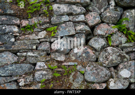 Mur d'un cairn au Balnuran chambré de Clava Banque D'Images