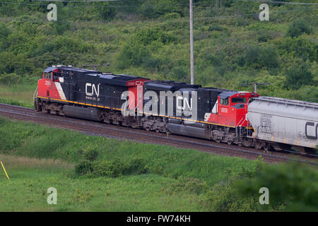 Un train de marchandises du CN passent près de Kingston (Ontario), le mardi 23 juin 2015. Banque D'Images