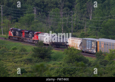 Un train de marchandises du CN passent près de Kingston (Ontario), le mardi 23 juin 2015. Banque D'Images