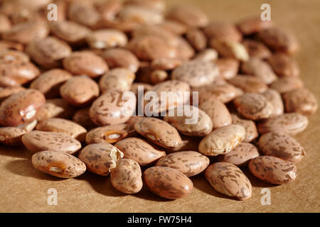 Non cuites séchées Haricots Pinto Banque D'Images