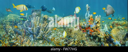 Sous-marines des récifs coralliens avec panorama vie marine colorée composée de poissons tropicaux et d'éponges de mer, mer des Caraïbes Banque D'Images
