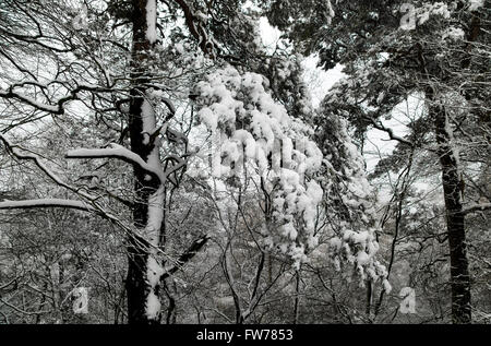 Paysage couvert de neige, Wilmslow, Cheshire, Royaume-Uni Banque D'Images