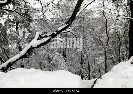 Paysage couvert de neige, Wilmslow, Cheshire, Royaume-Uni Banque D'Images