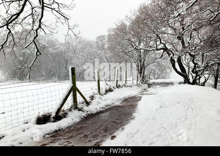 Paysage couvert de neige, Wilmslow, Cheshire, Royaume-Uni Banque D'Images