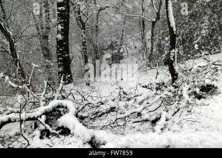 Paysage couvert de neige, Wilmslow, Cheshire, Royaume-Uni Banque D'Images