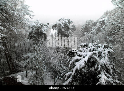 Paysage couvert de neige, Wilmslow, Cheshire, Royaume-Uni Banque D'Images