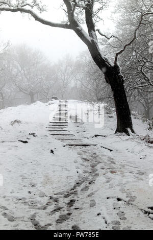 Paysage couvert de neige, Wilmslow, Cheshire, Royaume-Uni Banque D'Images