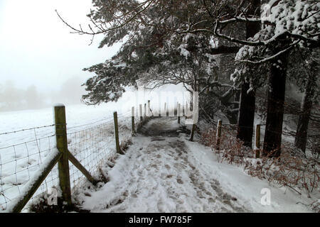 Paysage couvert de neige, Wilmslow, Cheshire, Royaume-Uni Banque D'Images