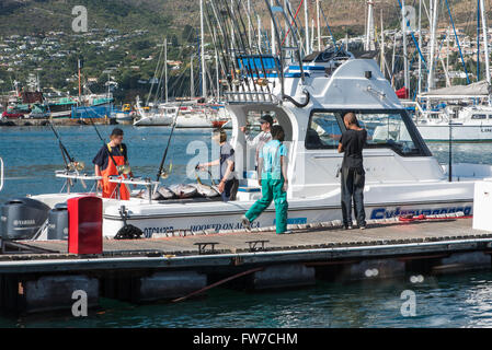 Thon fraîchement pêché étant rincés sur un bateau à Hout Bay Harbor Banque D'Images