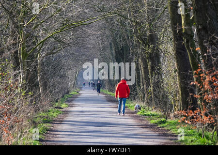 Man in Red Coat walking dog le long d'un large chemin à travers les arbres Banque D'Images