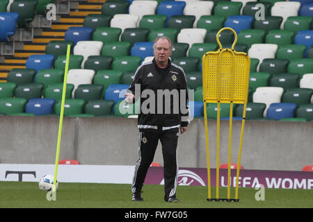 27 mars 2016 - Formation pour la Vauxhall Défi International (Friendly). L'Irlande du Nord v Slovénie. Jimmy Nicholl - Directeur adjoint de l'Irlande du Nord. Banque D'Images