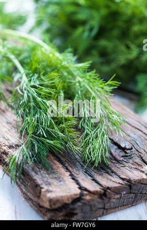 De l'aneth frais sur la planche à découper en bois rustique sur table Banque D'Images