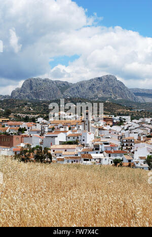 Vue sur les toits de la ville vers les montagnes, Rio Gordo, Province de Malaga, Andalousie, Espagne, Europe de l'Ouest. Banque D'Images