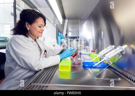 Scientifique dans un laboratoire au cours de pipetage. Banque D'Images